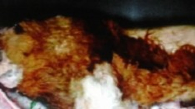 Leone morto trovato nel congelatore