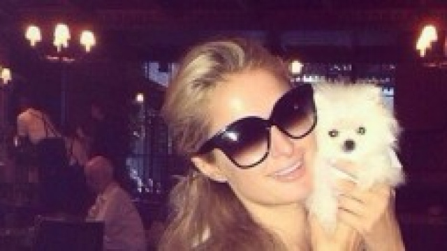 Paris Hilton e il suo cane da 10.000 euro