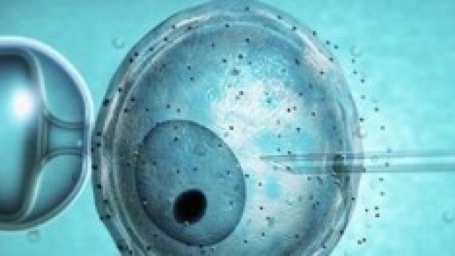 Via libera all'eterologa in Lombardia