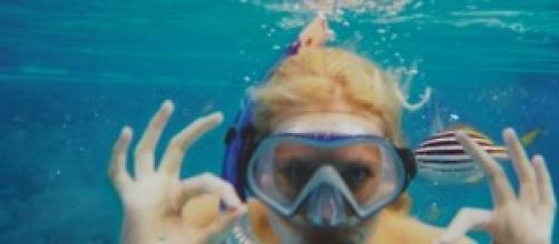 Zilla seems to enjoy snorkeling in the ocean.