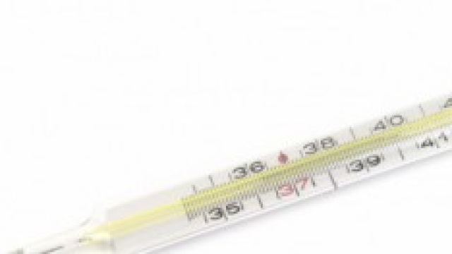 Influenza in arrivo a novembre