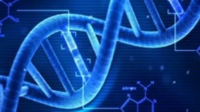 La stringa del Dna, unica in ogni individuo