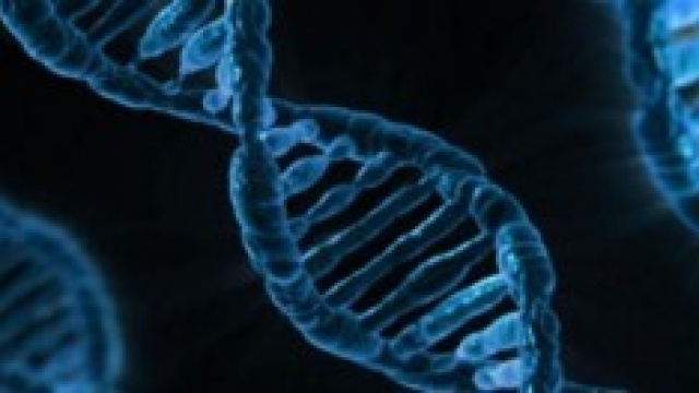Inizio dei test per il primo vaccino contro ebola 