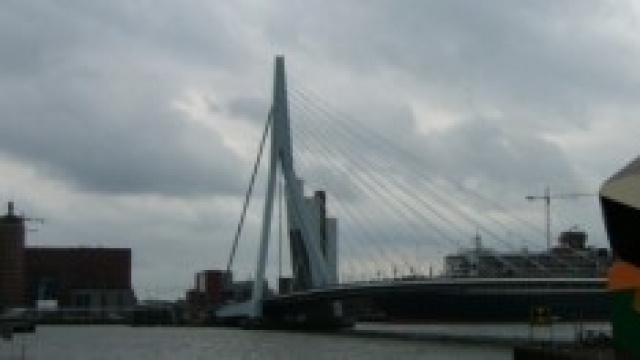 De zwaan: il cigno custode di storie cittadine