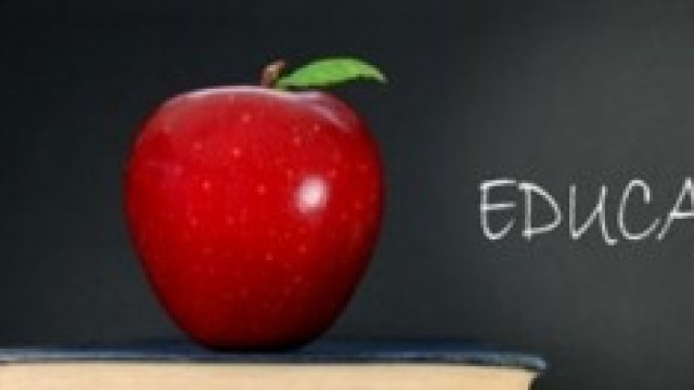 TFA: gli Atenei si attivano mentre il Miur tace