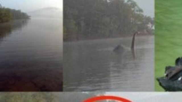 Un profilo da black swan per il nuovo Nessie 