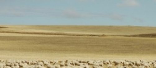 Reba&ntilde;o atravesando la meseta