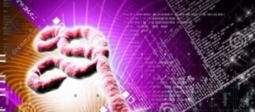 The Ebola Virus magnified by electron microscope.