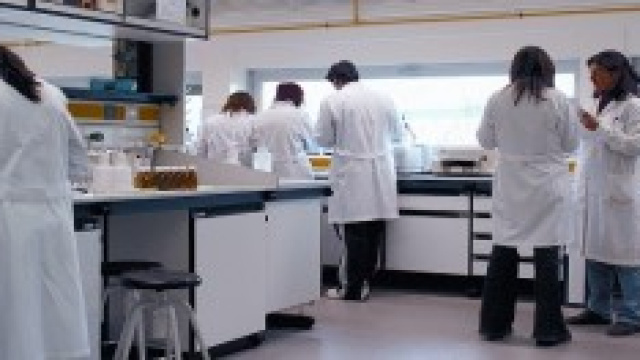 Il superbatterio Nightmare 