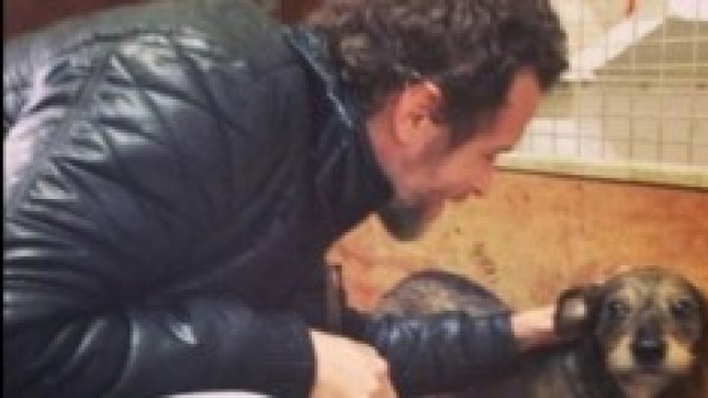 Jovanotti, l'appello: adottate un cane abbandonato