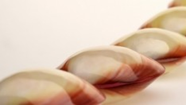 LavaShells, il massaggio con le conchiglie