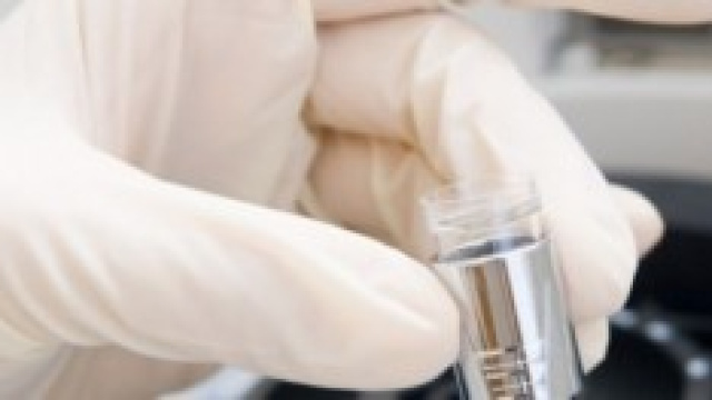 Cancro: la ricerca per fermare le cellule malate