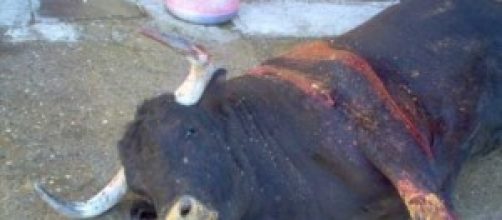 Esto en Argentina no est&aacute; permitido.