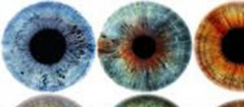 El color de ojos es revelador