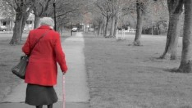 Riforma pensioni 2014: ecco le novit&agrave; di ottobre
