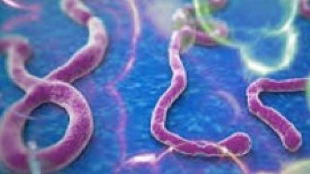 Virus Ebola: morto secondo missionario spagnolo