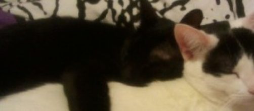 Tanedro y Yinyi. Hermanos y mejores amigos.