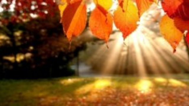 previsioni meteo ottobre 2014: autunno in arrivo?