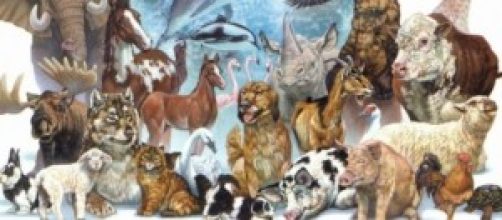 Agrupaci&oacute;n del conjunto de mam&iacute;feros