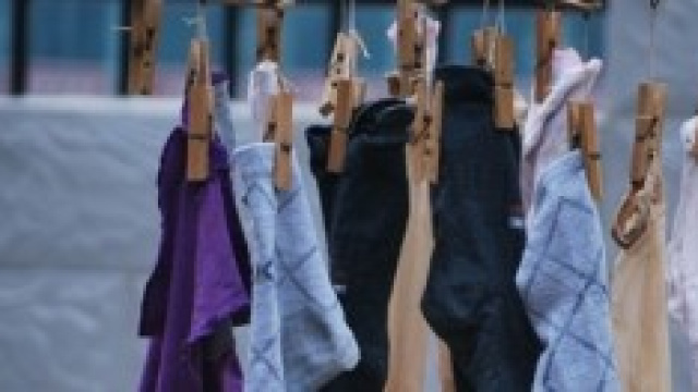 Un cane mangia 21 paia e mezzo di calzini