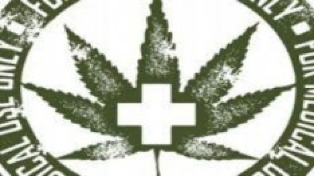coltivazione della cannabis per l'esercito