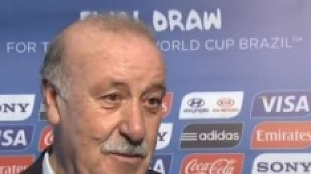 Vicente del Bosque, Spagna 