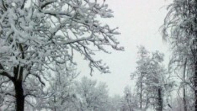 Previsioni meteo autunno-inverno 2014/2015