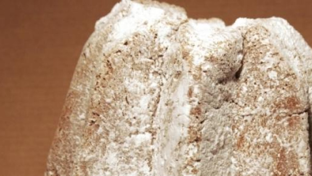 Disabile muore soffocato da fetta di pandoro