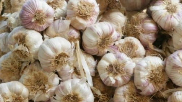 L'aglio favorisce la riduzione del colesterolo