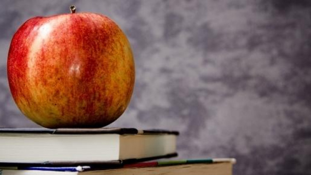 Iscrizione scuola online dal 15 gennaio 2015.