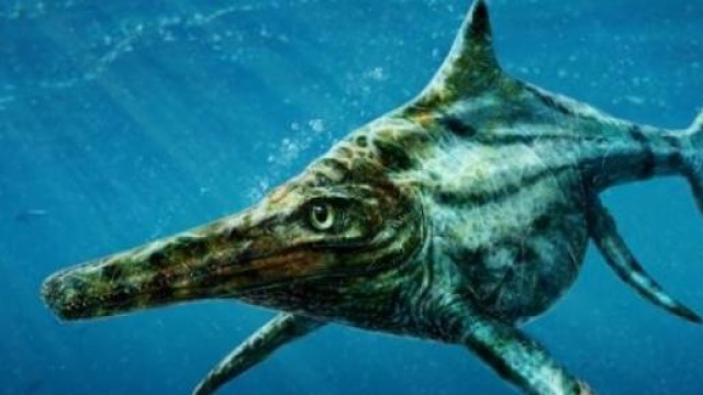 Il mostro Dearcmhara rinvenuto in Scozia