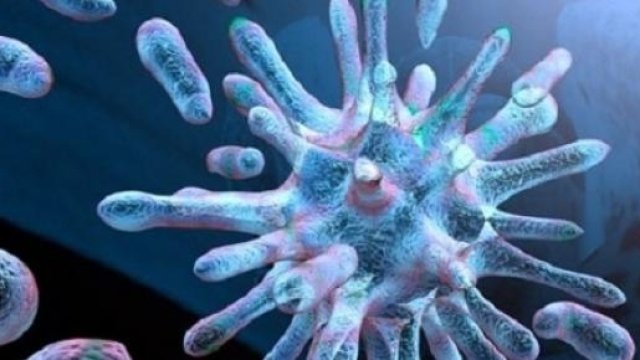Influenza 2015, il nuovo picco a febbraio: sintomi