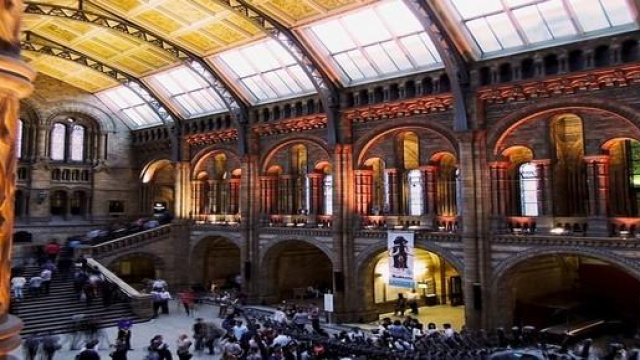 Concorso direttori musei, il bando