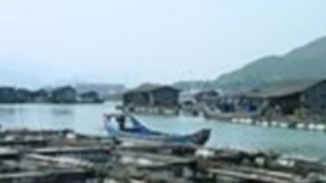 Ferme d'&eacute;levage de poissons en Chine