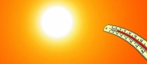 No ver&atilde;o, &eacute; tanto calor que n&atilde;o d&aacute; para aguentar