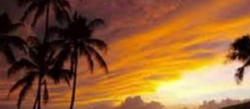 Allenby's odd incident took place in Hawaii 