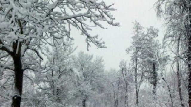Previsioni meteo gennaio-febbraio 2015