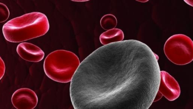cellule del sangue, la ricerca scientifica 
