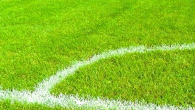 Frosinone-Spezia: orario diretta Tv 