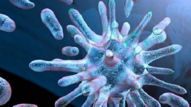 Influenza 2015: picco, sintomi, rimedi, previsioni