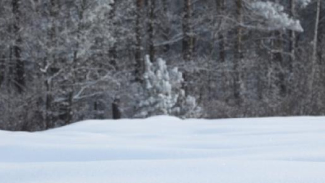 Vacanze sulla neve. Rispettiamo le regole.