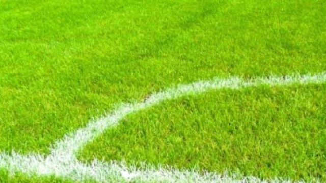 Pro Piacenza-Pistoiese, calcio Lega Pro: orario 