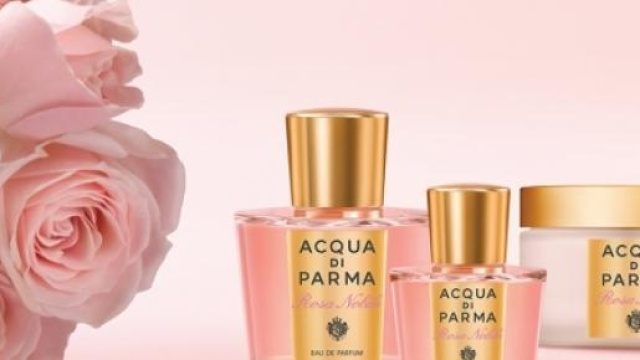 Rosa Nobile dell'Acqua di Parma
