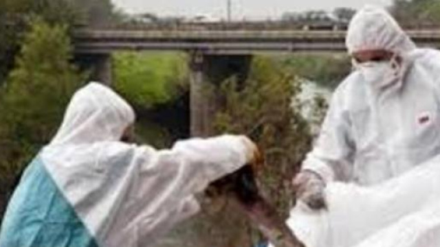 Domanda per i benefici previdenziali Inps, amianto