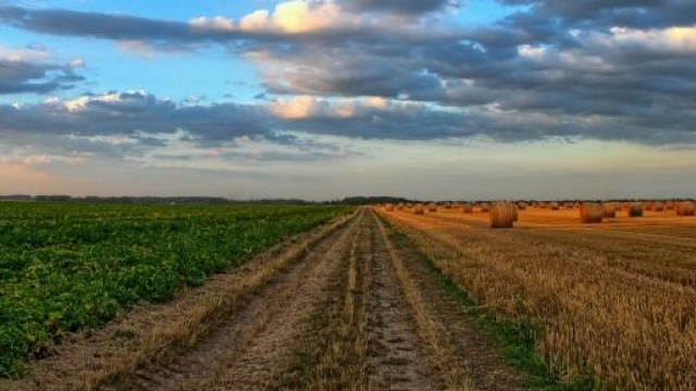 Pagamento Imu terreni agricoli montani.