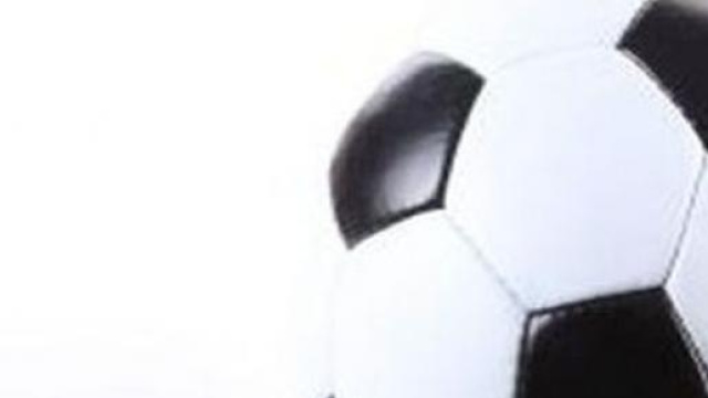 Pronostici Palermo-Verona e Torino-Sampdoria.