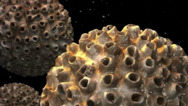 Tumori all'utero 2015: nuova scoperta 