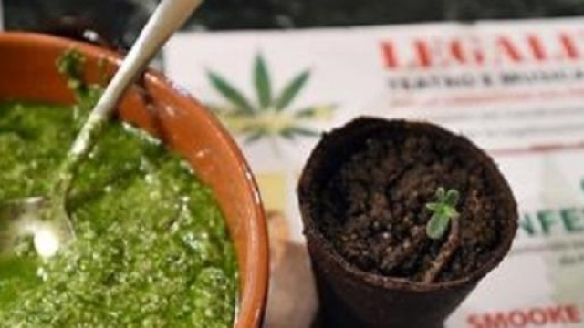 Buffet a base di cannabis in Comune a Torino