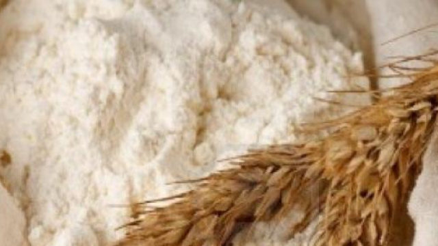La farina e il grano da cui deriva