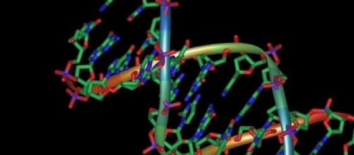 Mol&eacute;cula celular, computa&ccedil;&atilde;o gr&aacute;fica.